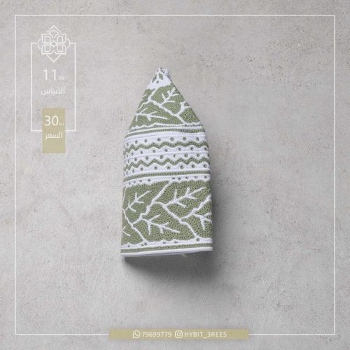 B-C-260052 B-C-260052